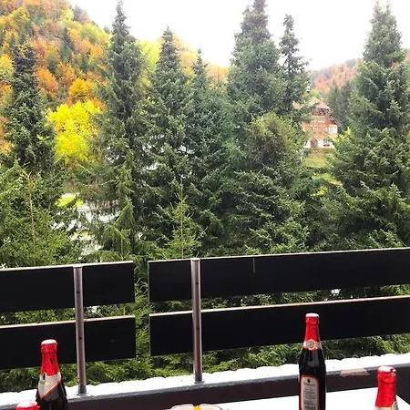 Schwarzwald Apartamento *