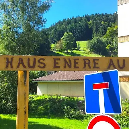 Schwarzwald Apartment *