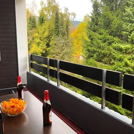 Schwarzwald Apartamento Todtmoos