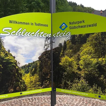 Schwarzwald * Todtmoos
