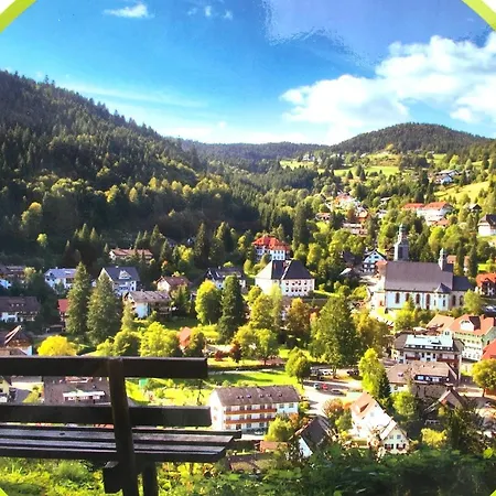 Schwarzwald Todtmoos