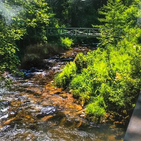 Apartment Schwarzwald *